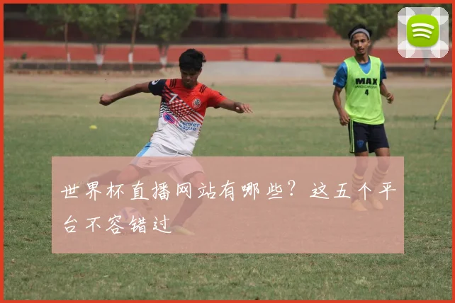 世界杯直播网站有哪些？这五个平台不容错过