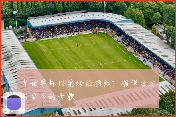 年世界杯门票转让须知:确保合法与安全的步骤