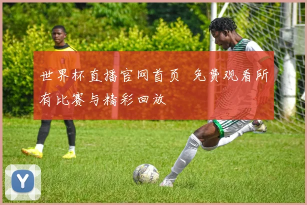 世界杯直播官网首页 免费观看所有比赛与精彩回放